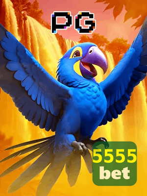 5555BET bônus — cashback 15 por cento e níveis VIP