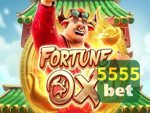 5555BET login — painel de entrada no app oficial
